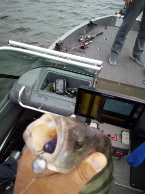 IMG_20180612_145510.jpg