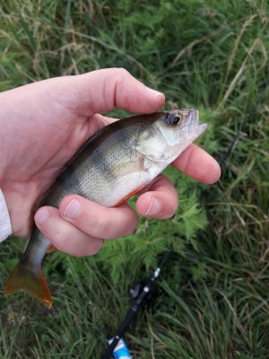 20180711_055535[1].jpg