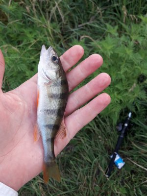 20180711_055754[1].jpg