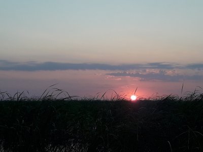 20180712_045658[1].jpg