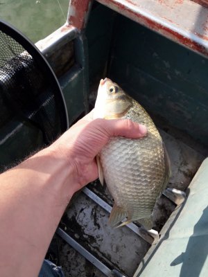 20180712_083226[1].jpg