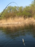 IMG_3418.jpg