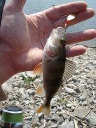 DSC03758.jpg