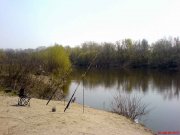 DSC00800.jpg