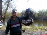 DSC00806.jpg