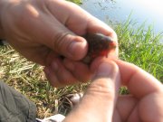 IMG_5411.JPG