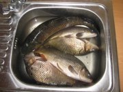 IMG_0054.jpg