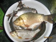 IMG_2589.jpg