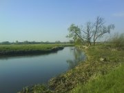 DSC00063.JPG