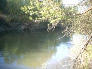 Img_0001.jpg