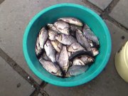 SP_A0101.jpg
