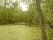 DSC00008.JPG