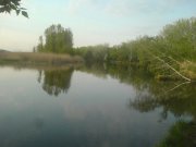 DSC00016.JPG