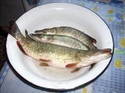 DSCN3180.jpg