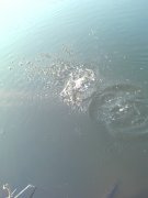 DSC00550.jpg