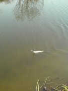 DSC00554.jpg