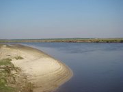 DSC01094.jpg