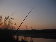 IMG_1151.jpg