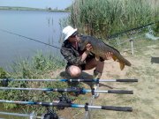 carp2.jpg