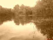 DSC00059.JPG