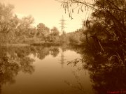 DSC00061.JPG