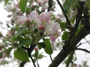 IMG_1673.jpg