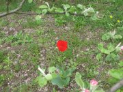 IMG_1670.jpg