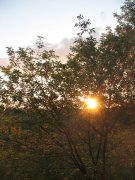 IMG_1701.jpg