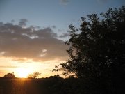 IMG_1705.jpg