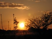 IMG_1711.jpg