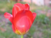 IMG_1718.jpg