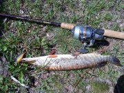 DSC00097.JPG
