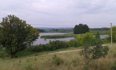 плавни.jpg