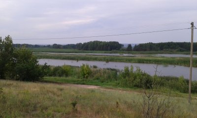 плавни2.jpg