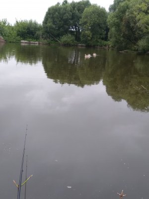 IMG_20180718_105510.jpg