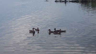 image-0-02-04-017131eed796c1ad8d78e27b1ae879999bc869426a4c515b02598bcb9c8a23bb-V.jpg