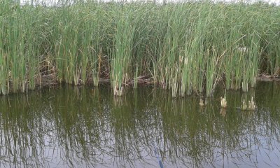 20180804_171037.jpg