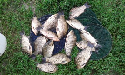 20180805_134057.jpg