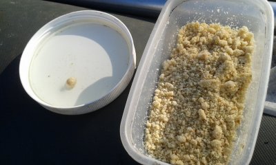 20180804_080615.jpg