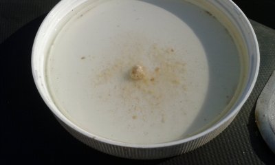 20180804_082144.jpg