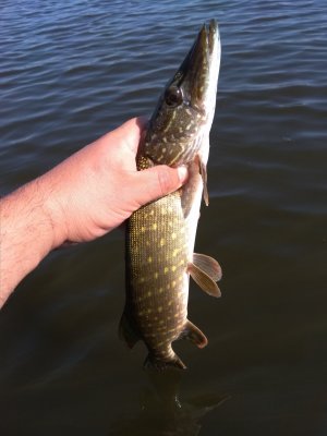 IMG_20180813_100332.jpg