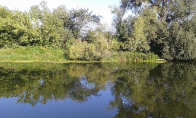 20180813_075845.jpg