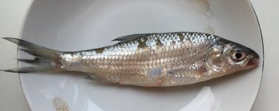 image_134620.jpeg