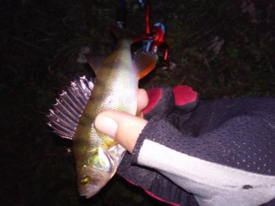 20180821_060550.jpg