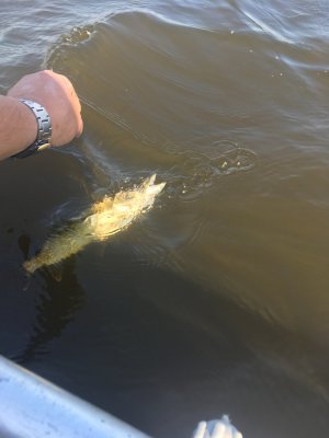IMG_1873.JPG