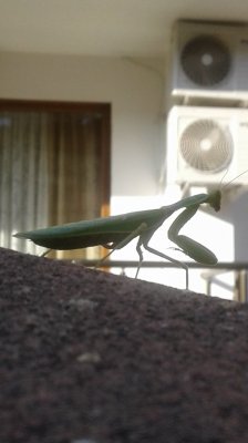 20180825_174255.jpg