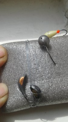20180829_134856.jpg