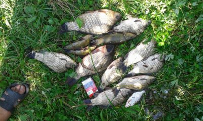 20180826_131903.jpg