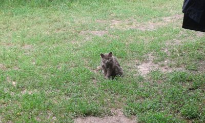 20180629_121042.jpg