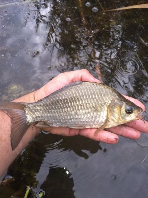 IMG_20180904_104628.jpg